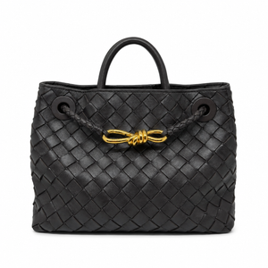 Bottega Veneta Andiamo Small