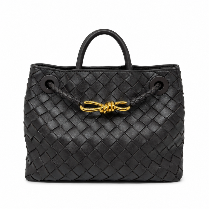 Bottega Veneta Andiamo Small
